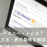 リッチスニペットとは？表示方法、表示条件を解説